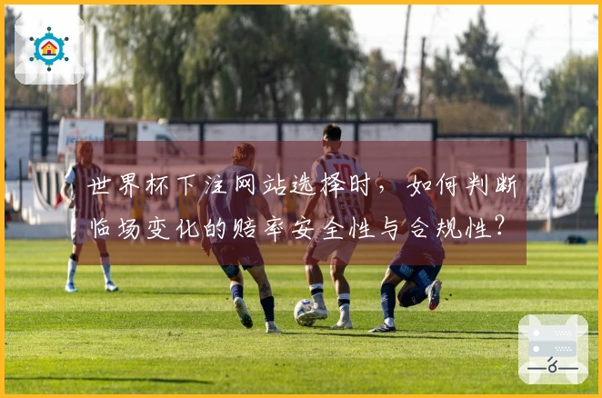 世界杯下注网站选择时，如何判断临场变化的赔率安全性与合规性？