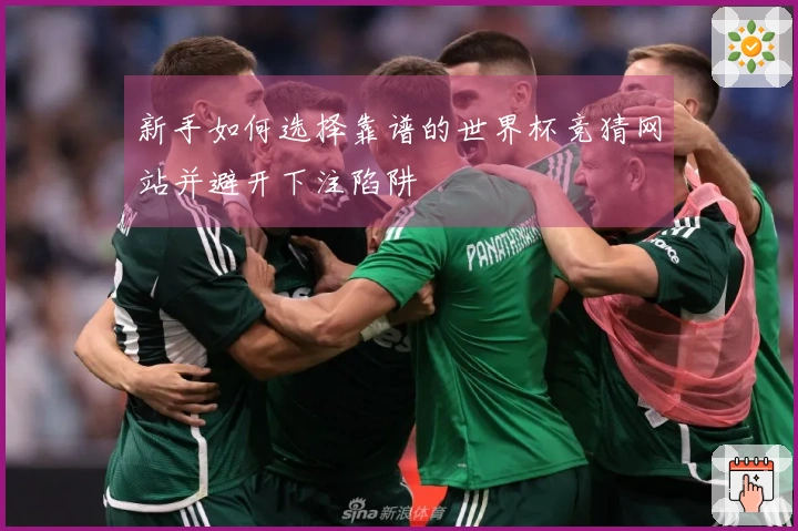 新手如何选择靠谱的世界杯竞猜网站并避开下注陷阱
